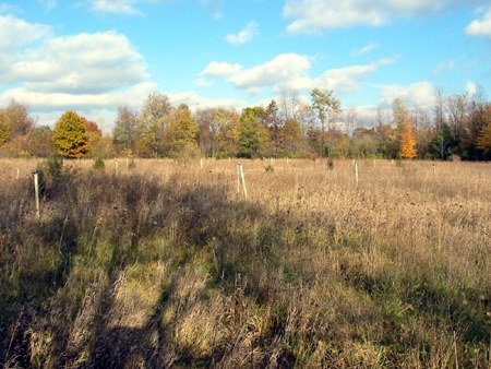 Albion Drive-In Theatre - Speaker Poles - Photo From Water Winter Wonderland (newer photo)